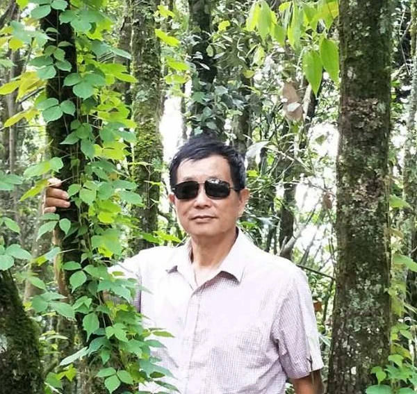 滇西宾川行吟（组诗）