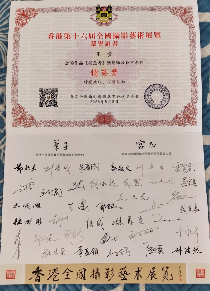漂浮的鼓浪屿