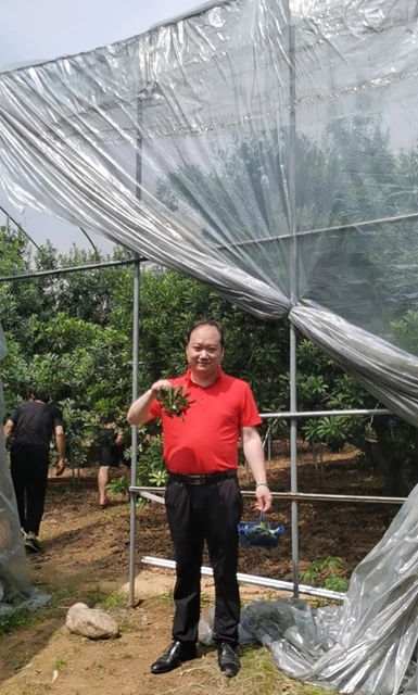 项建新：再写兰溪杨梅，一诗寄尽乡愁